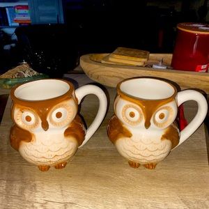 World Market Pair of Owl with Owl Inside Coffee Mugs